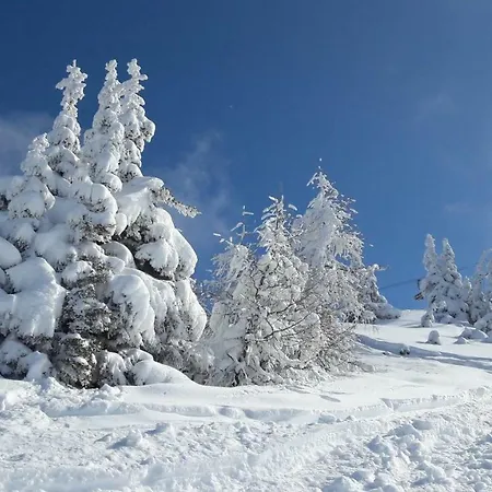 Jaegerrast Appartement *