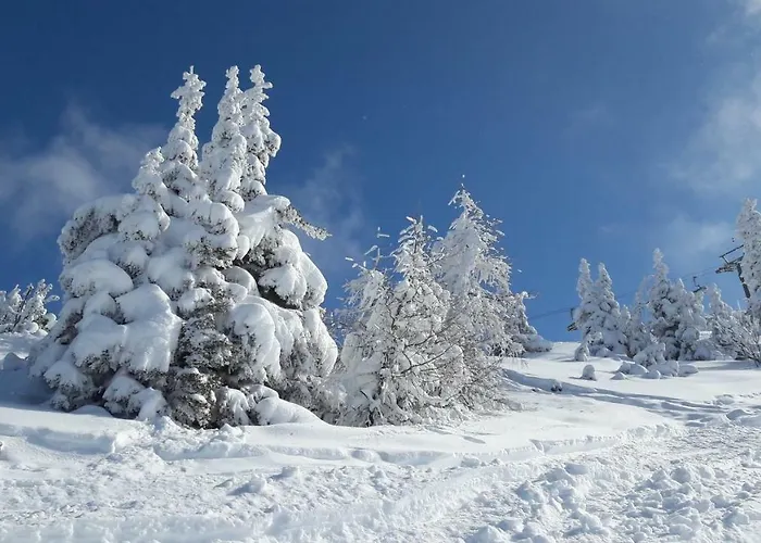 Jaegerrast Appartamento *